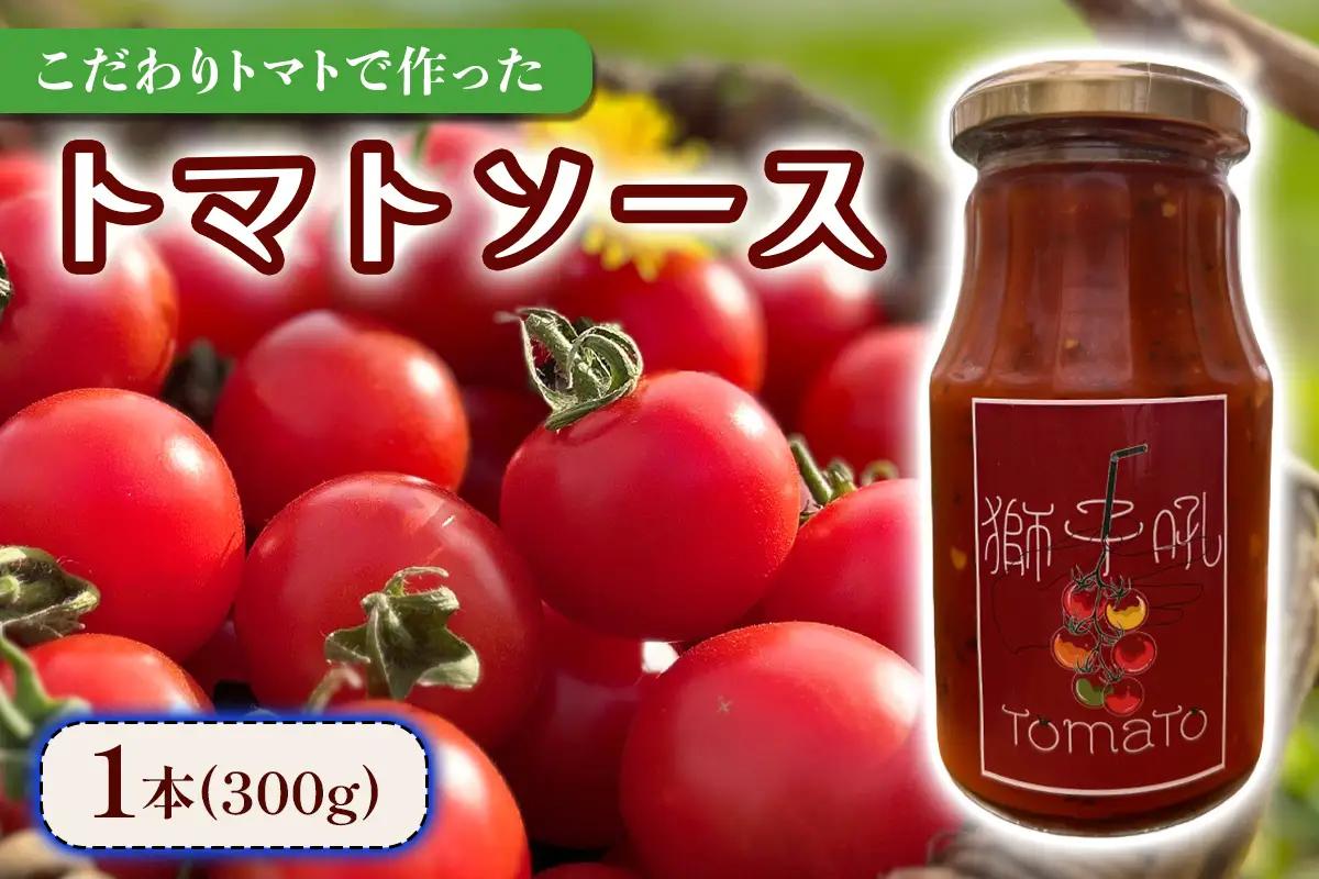 こだわりトマトで作った トマトソース 1本 (300g)｜フルティカトマト プレゼント 贈り物 ギフト [1048]