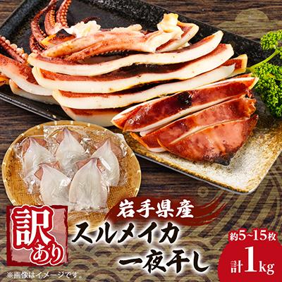 ふるさと納税 宮古市 【訳あり】岩手県宮古市産スルメイカの一夜干し　1kg
