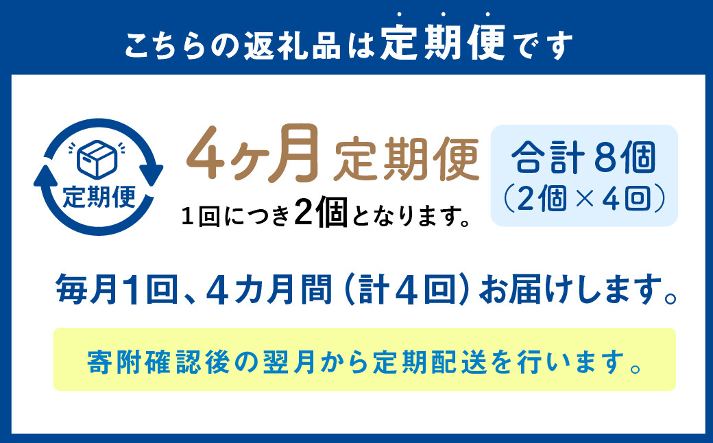 【1ヶ月毎4回定期便】 カムカムおこめチップス（しお） ボックスタイプ 計8個 （2個×4回） お菓子 スナック菓子