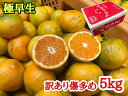 【ふるさと納税】訳あり傷多め【極早生・有田みかん】約5kg（サイズおまかせ）| フルーツ 果物 蜜柑 ミカン オレンジ 有田産 和歌山産 産地直送※着日指定不可 ※10月中旬頃〜11月下旬頃に順次発送予定