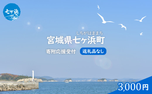 七ヶ浜町 返礼品なし 応援寄附【3,000円】| 7h-hn-3000 おすすめ 返礼品