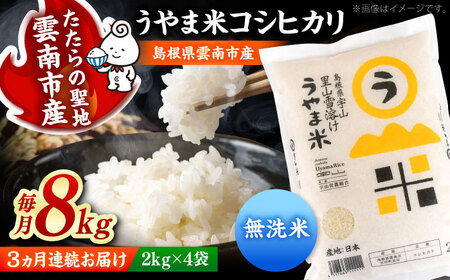 【3ヶ月定期便】無洗米 令和7年産 コシヒカリ 8kg 無洗 [AIDB084]