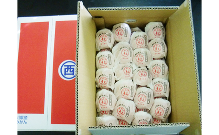 みかん 越冬完熟さぬき紅みかん みかん【約3kg】