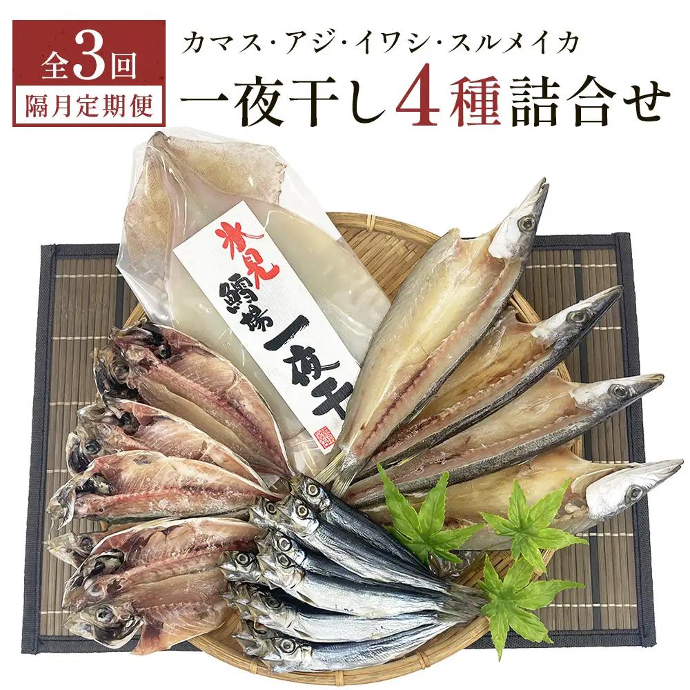 【隔月3回】一夜干し4種詰合せ定期便《カマス・アジ・イワシ・スルメイカ》 富山県 氷見市 定期便 干物 かます あじ 鰯 いわし いか おかず 一品