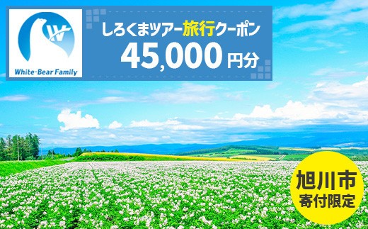
            【旭川市】しろくまツアーで利用可能なWEB旅行クーポン (45,000円分) ※メール発行  【 旅 旅行 トラベル 予約 国内旅行 ホワイト・ベアーファミリー 宿泊 観光 体験 旅行券 宿泊券 旅行予約 ホテル 旅館 チケット 子供 子連れ カップル 家族 人気 おすすめ 旅行クーポン オンライン ネット予約 有効期間2年 】_05440
          