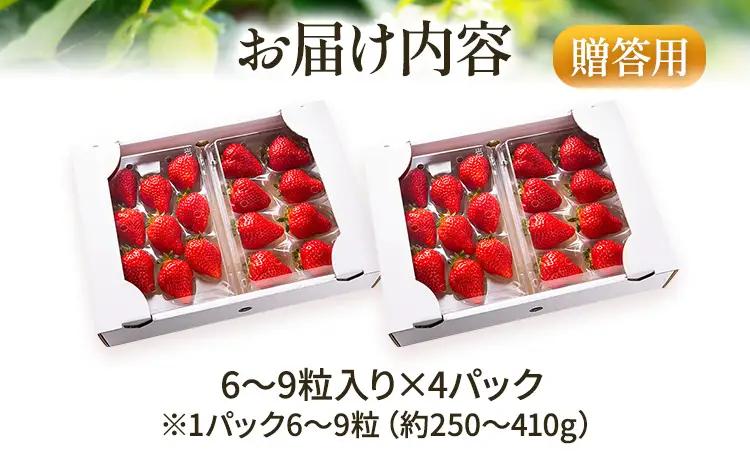 いちご あまおう 6～9粒入り×4P R9年1月以降発送 いちご