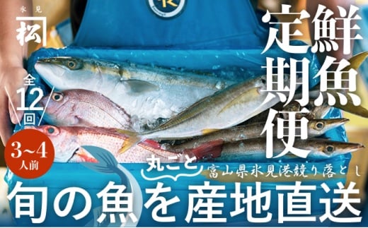 
            【氷見漁港直送】〈12回定期便〉旬の鮮魚 まるごと詰め合わせセット！（3〜5種類／1.5〜2kg） 
          