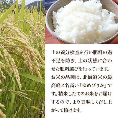 ふるさと納税 赤平市 【発送月固定定期便】ほりぐち農園直送のお米 精米したてゆめぴりか　10kg全6回 |  | 01