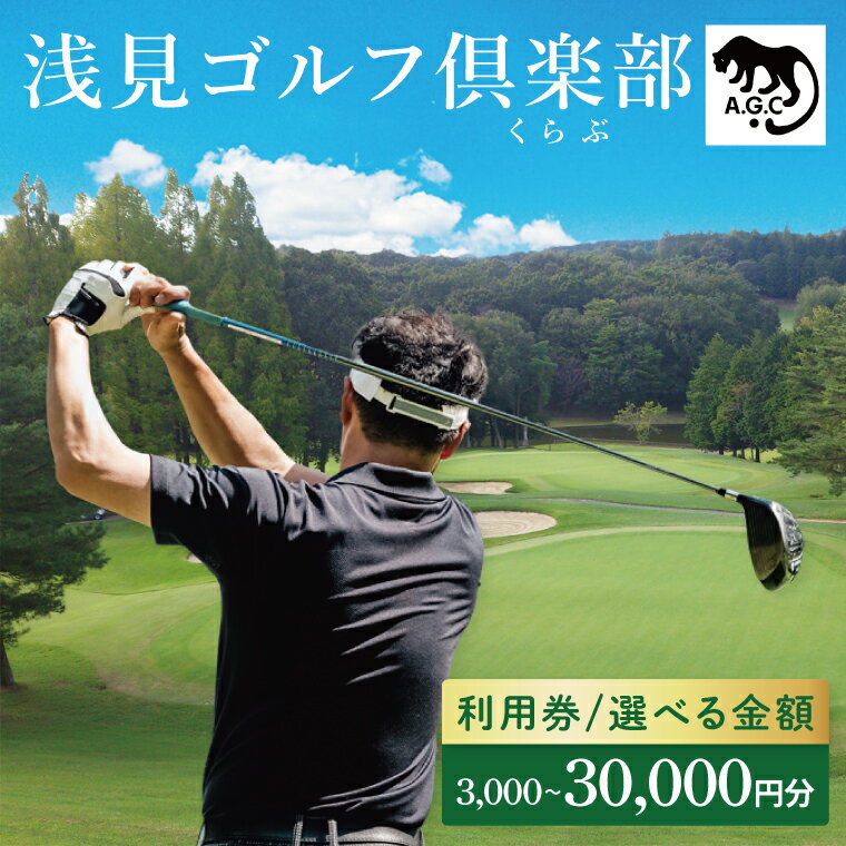 【ふるさと納税】【選べる内容量】浅見ゴルフ倶楽部 利用券 3,000円分 15,000円分 30,000円分【名匠 浅見緑蔵設計 ゴルフ チケット 体験 券 トーナメントコース クラブハウス 茨城県 水戸市 】(OA-1)