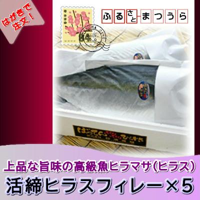 ふるさと納税 松浦市 お届けオーダーメイド!活締ヒラスフィレー×5