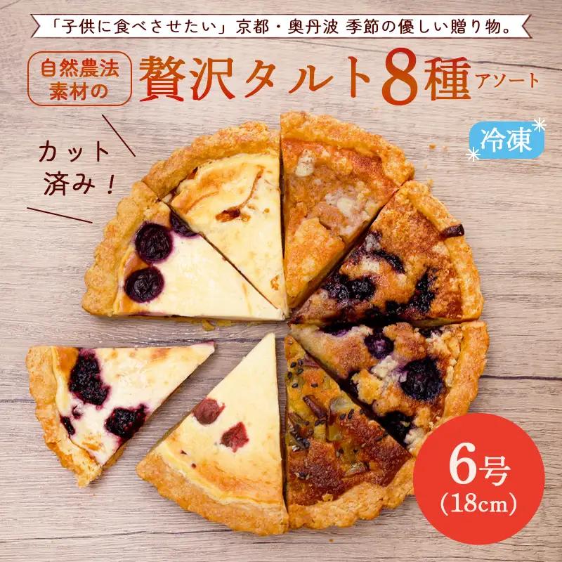 季節のおまかせタルト 8ピース ベイクドタルト