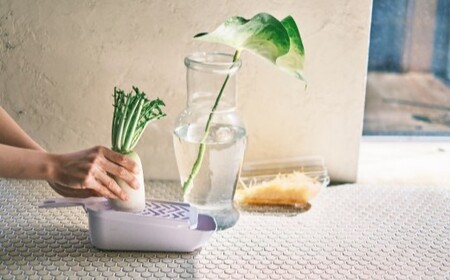 貝印 SELECT100　調理器セット(受け皿・ガード付) 4点セット 000DH3027 スライサー せん切り器 細せん切り器 おろし器 セレクト100 関市 キッチンツール 料理 刃物 おしゃれ 