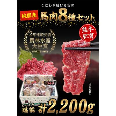 ふるさと納税 南阿蘇村 純国産馬肉8種セット 計2200g 《60日以内に出荷予定(土日祝除く)》