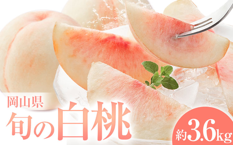 桃 岡山県の旬の白桃 約3.6kg 花田青果株式会社《6月下旬-8月下旬頃出荷予定(土日祝除く)》岡山県 浅口市 白桃 桃 もも 旬 フルーツ 果物【配送不可地域あり】 ---124_c2528_6c