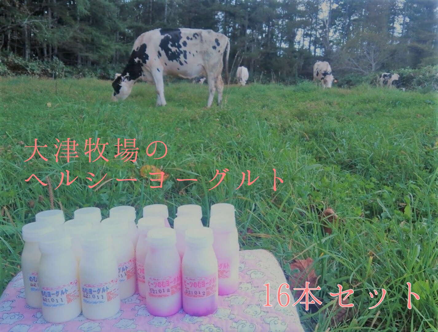 【ふるさと納税】【大津牧場 搾りたてミルク使用】北海道産 のむヨーグルト ヘルシーセット 16本 プレーン無糖 ビーツ ダイエット 産地直送 せたな町