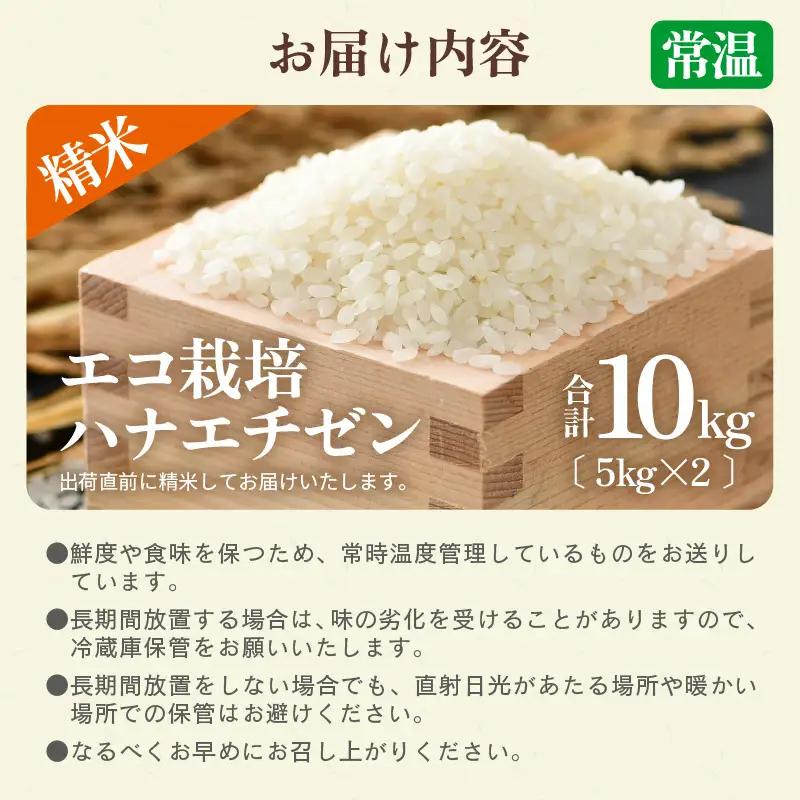 【先行予約】【令和8年産 新米】 エコ栽培ハナエチゼン 精米10kg （5kg×2袋） ／ 鮮度抜群 福井県産 はなえちぜん ご飯 新鮮 白米 ※2026年9月上旬以降順次発送予定 [aw063-b0