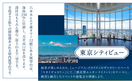 【六本木ヒルズ ペア体験】森美術館・東京シティビュー/グランド ハイアット 東京 食事券