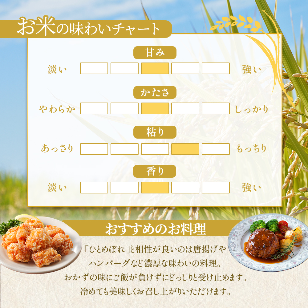 【先行予約/2ヶ月連続定期便】令和7年産新米 無洗米 ひとめぼれ 10kg×2回 米 岩沼産 お米 白米 ブランド米 単一原料米 10キロ こめ コメ おこめ ご飯 ライス 東北 宮城県産 宮城県産ひ