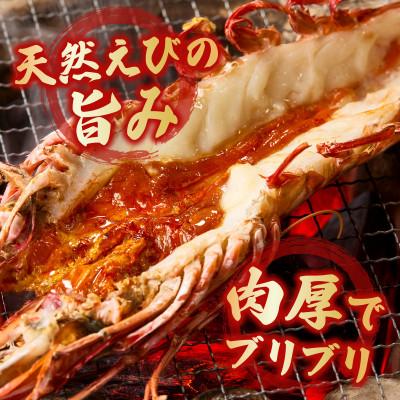 ふるさと納税 西尾市 【高級】超大型天然有頭タイガーえび　ハーフカット・K306 |  | 01