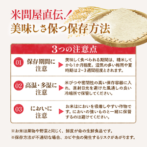 【令和7年産米】※2026年7月後半発送※ 特別栽培米 つや姫10kg 山形県 東根市産 深瀬商店提供 hi053-036-073 （2026年 令和7年産 山形 送料無料 東北 白米 精米 お米 こ