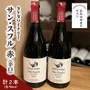 【ふるさと納税】【タケダワイナリー】サン・スフル ( 赤 ) 2本 セット 辛口 750ml×2本 赤ワイン 山形県 上山市 0147-2208