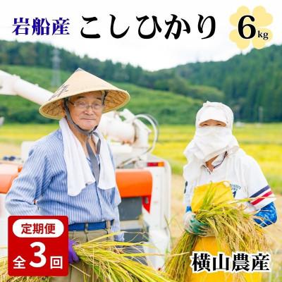ふるさと納税 関川村 【毎月定期便】関川村産こしひかり6kg(2kg×3袋)ふっくら美味しさ 岩船米 [横山農産]全3回