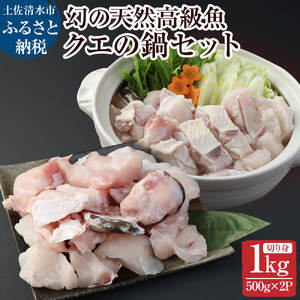 鍋用冷凍クエ1kg（500g×2パック）～幻の天然高級魚～ 1キロ【R00657】