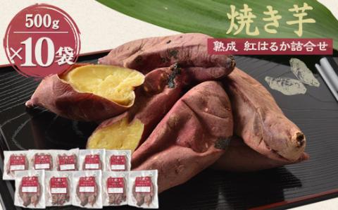 焼き芋「熟成　紅はるか」詰合せ×2セット【2024年1月下旬より順次発送開始】【配送不可地域：離島】