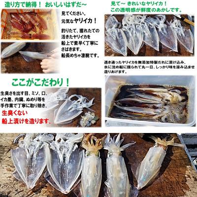 ふるさと納税 福津市 ヤリイカ船上漬け 8パック 冷凍[F4022s] |  | 01