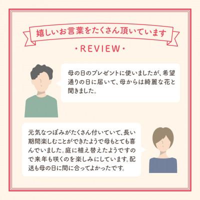 ふるさと納税 田村市 【先行受付 2026年母の日 】クレマチス「プリンセスダイアナ」5号鉢 ギフトラッピング付き |  | 02