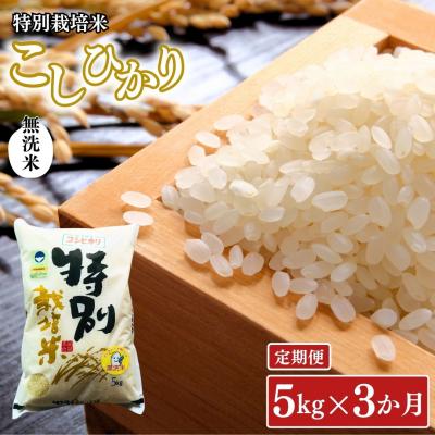 ふるさと納税 三条市 [定期便 5kg×3ヶ月] 県認証 特別栽培米 コシヒカリ 令和8年産 無洗米【031S022】