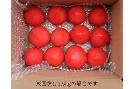 北海道壮瞥町産 ルネッサンス1kg トマト SBTAJ006