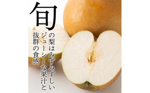 A-138 ＜先行予約受付中！2025年8月中旬～10月上旬の間に発送予定＞梨詰め合わせ(約2.5kg前後)【さくら農園】なし 梨 豊水 フルーツ 果物 期間限定