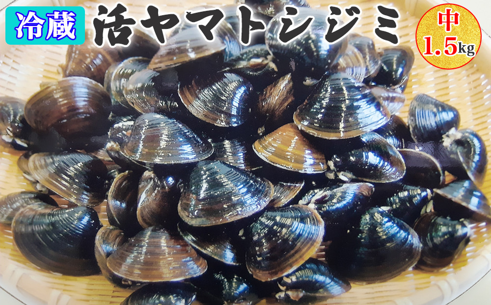 
青森県十三湖産【冷蔵】活ヤマトシジミ 中 1.5kg【発送希望時期をお選びください】｜十三湖産 青森 津軽 つがる しじみ みそ汁 味噌汁 しじみ汁 [0556-0568]
