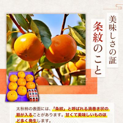 ふるさと納税 山鹿市 太秋柿　約2kg(山鹿市) |  | 03