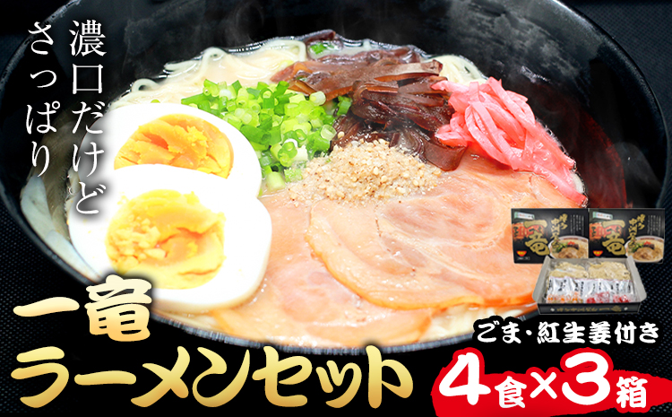 一竜ラーメンセット 合計12食 (4食入×3箱) 株式会社木村食品《30日以内に出荷予定(土日祝除く)》福岡県 小竹町 ラーメン らーめん 麺 スープ付き 送料無料---sc_kmricr_30d_r
