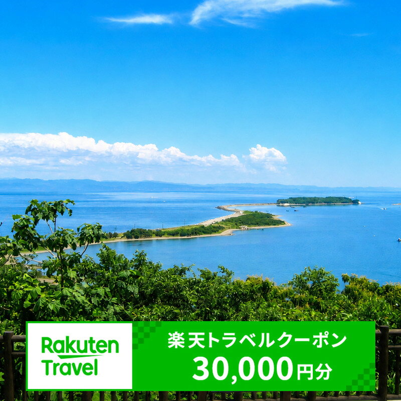 【ふるさと納税】兵庫県洲本市の対象施設で使える 楽天トラベルクーポン 寄附額100,000円（30,000円クーポン）