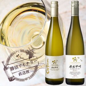 シャトー・メルシャン　岩出甲州　2種飲み比べセット【配送不可地域：離島】【1664995】