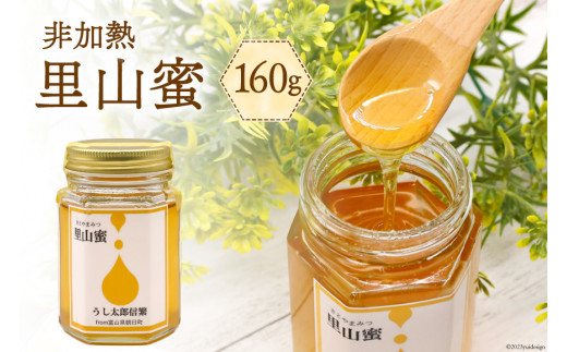 はちみつ 里山蜜 160g×1本 [うし太郎信繁 富山県 朝日町 34310302] はちみつ 蜂蜜 ハチミツ 国産 百花蜜 非加熱 ハニー 養蜂