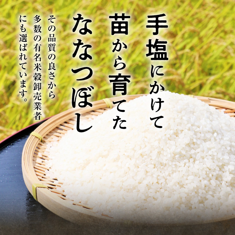 【新米予約】令和８年産【定期便全10回】 雨竜産 ななつぼし 精米 10kg（5kg×2袋）特A 雨竜町 お米 米 厳選 人気 令和8年産