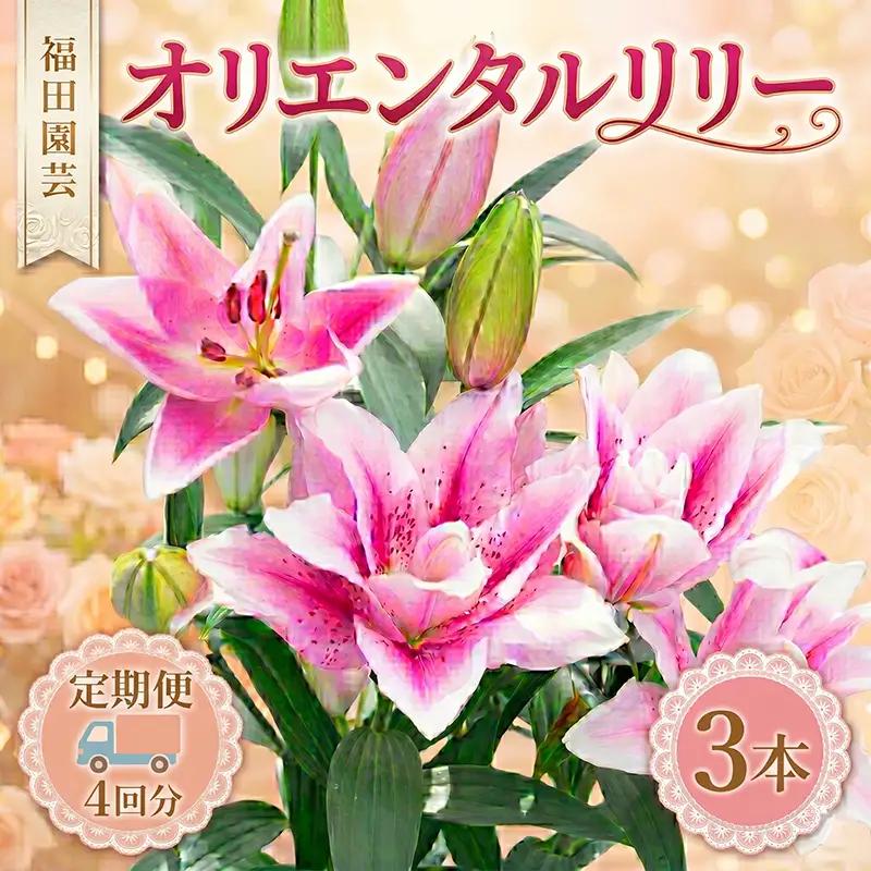  ユリ(オリエンタルリリー)3本 4ヶ月定期便【ユリ】