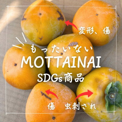 【ふるさと納税】訳あり【令和8年10月下旬より順次発送】たねなし柿L～2Lサイズ(16～18個入り)【1700842】