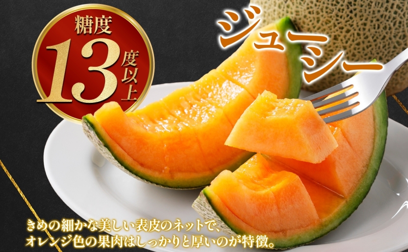 北海道 赤肉メロン 約1.6kg 2玉 メロン 赤肉 果物 フルーツ 甘