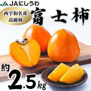 JAにしうわの季節のくだもの(富士柿約2.5kg)【C08-88】【1516812】