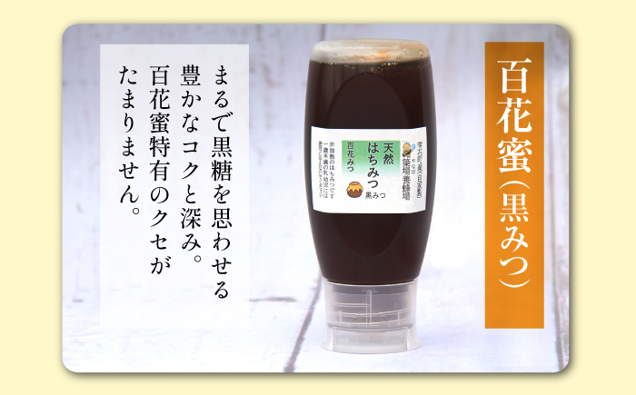 簗場養蜂場 非加熱 生はちみつ 百花蜜 黒みつ 500g 2本 【あねっこ】 純粋 蜂蜜 はちみつ ハチミツ ハニー 1kg 1キロ 国産 国内産 日本産 ボトル 長期保存 産地直送 百花 黒蜜 蜜 