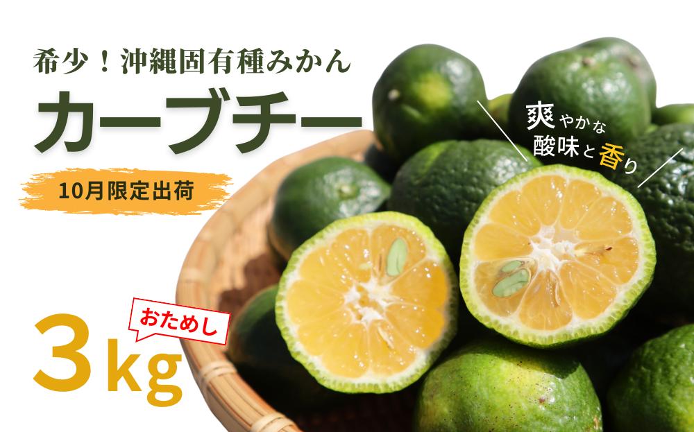 【先行予約/10月発送】国頭村産 島みかん「カーブチー」3kg	