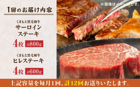 【12回定期便】くまもと黒毛和牛 ステーキ食べ比べ ヒレステーキ×4枚 サーロインステーキ×4枚【馬刺しの郷 民守】熊本 霜降り ヒレ サーロイン ステーキセット [ZBL115]