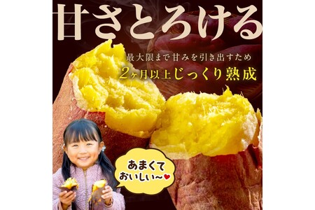 さつまいもオブザイヤー全国1位 京都・ 丹後産　さつまいも ふくむらさき　土付き（1本120〜200g）3kg