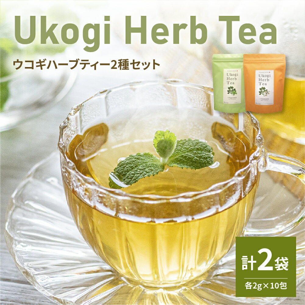 【ふるさと納税】Ukogi Herb Tea ( ウコギハーブティー ) 2種 Cセット カモミールブレンド ペパーミントブレンド 各10個 計20個入 ティーバッグ ノンカフェイン 有機栽培 リラックス デカフェ ティータイム お茶 お取り寄せ 送料無料 山形県 米沢市