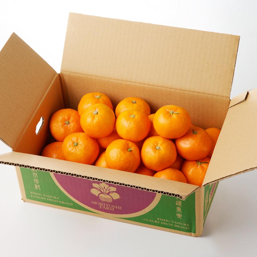 ＜魚鶴＞田村産「有田みかん」秀品（2S～Lサイズ）3kg